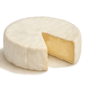 Camembert