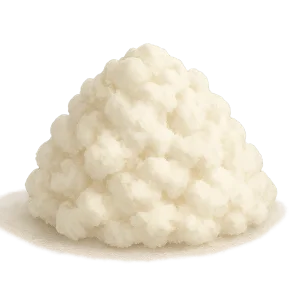 Ricotta