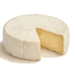 Camembert